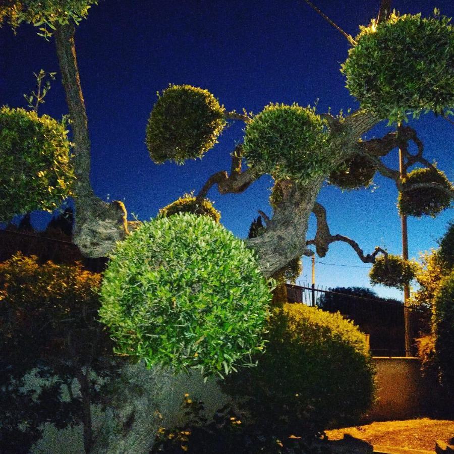 B&B Villa Lucia Bari Eksteriør billede